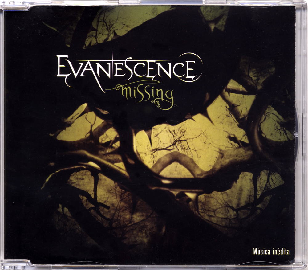 Missing mp3. Evanescence Lost Whispers. Evanescence - missing youtube. Evanescence Cover. Evanescence - Lost in Paradise Single Cover.